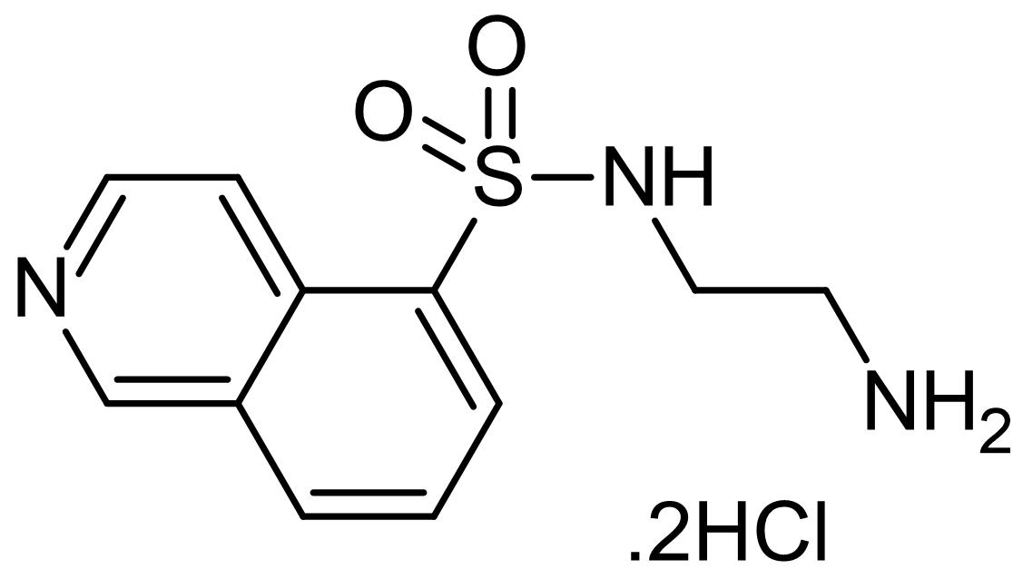 Chemical Structure - H 9 dihydrochloride, Protein kinase inhibitor (AB146132), expandable thumbnail