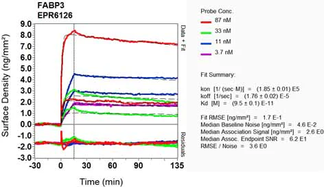 OI-RD Scanning - Anti-H-FABP antibody [EPR6126] - BSA and Azide free (AB248565)