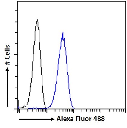 Flow Cytometry - Anti-H2R antibody (AB39964), expandable thumbnail