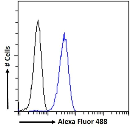 Flow Cytometry - Anti-H2R antibody (AB39964)
