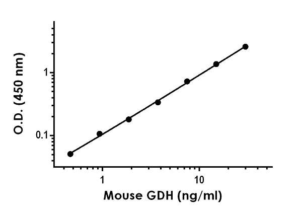 Sandwich ELISA - Anti-H6PD/GDH antibody [EPR22043-34] - BSA and Azide free (Detector) (AB259602)