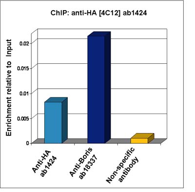 ChIP - Anti-HA tag antibody [12CA5] (AB1424), expandable thumbnail