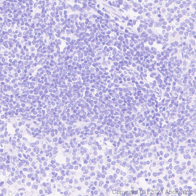 Immunohistochemistry (Formalin/PFA-fixed paraffin-embedded sections) - Anti-HA tag antibody [RM1058] - BSA and Azide free (AB314238)