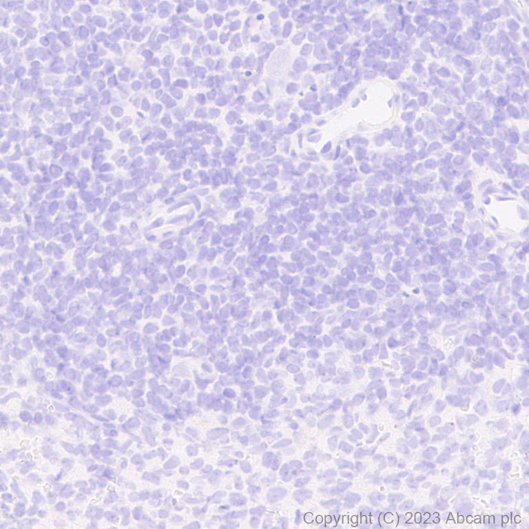 Immunohistochemistry (Formalin/PFA-fixed paraffin-embedded sections) - Anti-HA tag antibody [RM1058] - BSA and Azide free (AB314238)