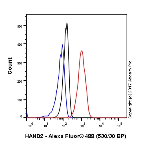 Flow Cytometry (Intracellular) - Anti-HAND2 antibody [EPR19451] - BSA and Azide free (AB240353)