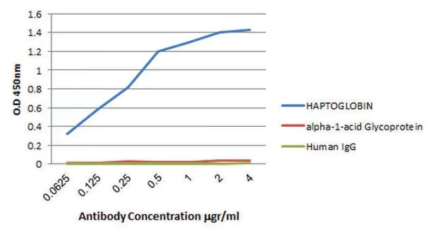 Indirect ELISA - Anti-Haptoglobin antibody [HG-36] (AB13429)