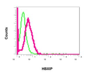 Flow Cytometry (Intracellular) - Anti-HBXIP antibody [EPR11531(B)] - BSA and Azide free (AB249343), expandable thumbnail