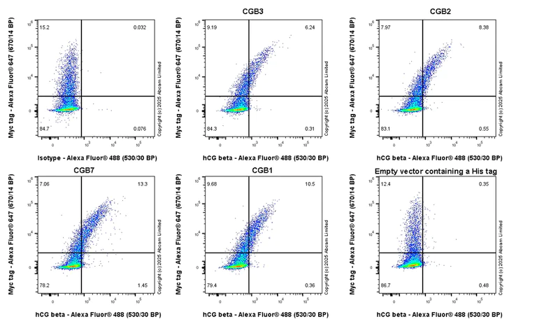 Flow Cytometry (Intracellular) - Anti-hCG beta (pan CGB) antibody [EPR29783-529] (AB324382)