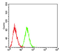 Flow Cytometry - Anti-hCG receptor/LHR antibody [8G9A2] (AB204950)