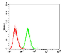 Flow Cytometry - Anti-hCG receptor/LHR antibody [8G9A2] (AB204950)