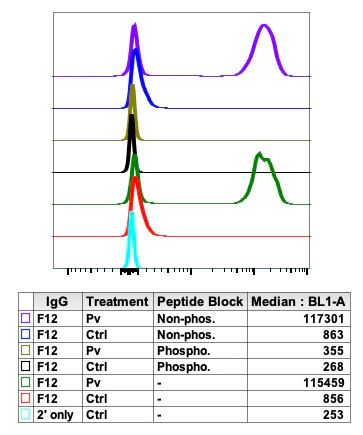 Flow Cytometry - Anti-HCLS1 (phospho Y397) antibody [HS1Y397-F12] (AB278632)