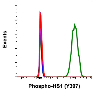 Flow Cytometry - Anti-HCLS1 (phospho Y397) antibody [HS1Y397-F12] (AB278632)