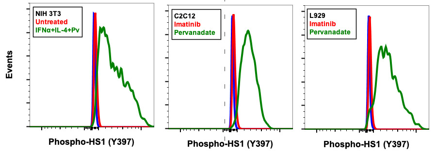 Flow Cytometry - Anti-HCLS1 (phospho Y397) antibody [HS1Y397-F12] (AB278632), expandable thumbnail