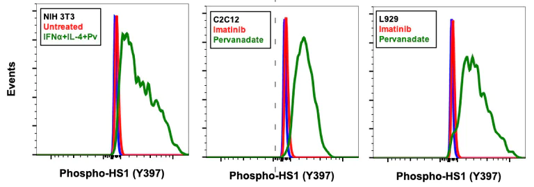 Flow Cytometry - Anti-HCLS1 (phospho Y397) antibody [HS1Y397-F12] (AB278632)