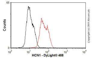 Flow Cytometry - Anti-HCN1 antibody [S70] (AB84816)