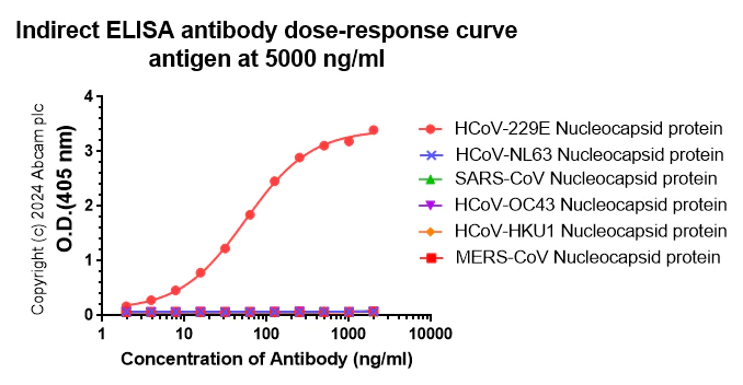 Indirect ELISA - Anti-HCoV-229E Nucleocapsid protein antibody [abd210] (AB316285)