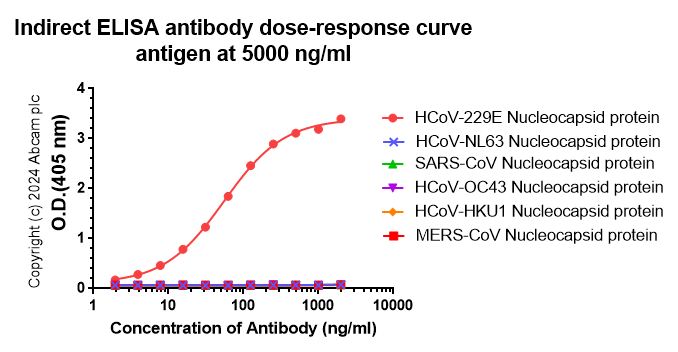 Indirect ELISA - Anti-HCoV-229E Nucleocapsid protein antibody [abd210] - BSA and Azide free (AB316286), expandable thumbnail
