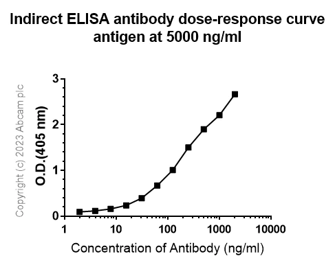 Indirect ELISA - Anti-HCoV-OC43 Nucleoprotein antibody [abd385] (AB309966)