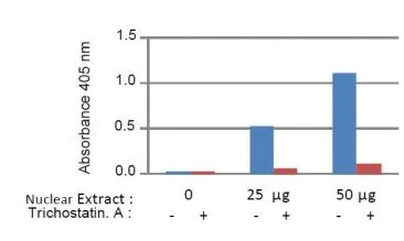 Enzyme activity assay - HDAC Activity Assay Kit (colorimetric) (AB1432)
