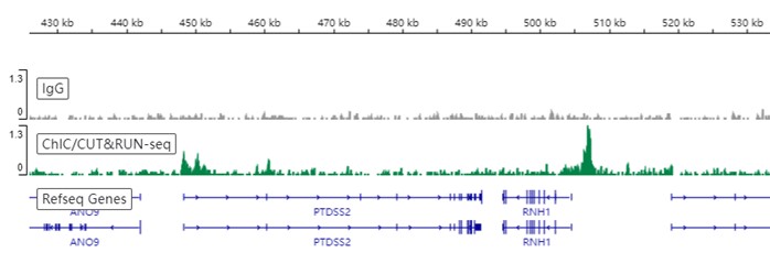 ChIC/CUT&RUN sequencing - Anti-HDAC1 antibody [EPR23847-170] (ab280198), expandable thumbnail