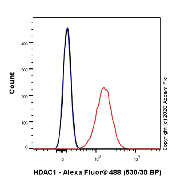 Flow Cytometry (Intracellular) - Anti-HDAC1 antibody [EPR23847-170] - Nuclear Loading Control (AB280198)