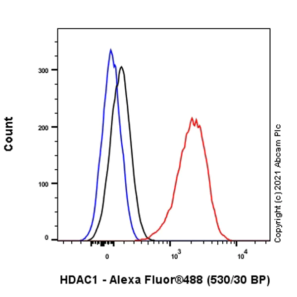 Flow Cytometry (Intracellular) - Anti-HDAC1 antibody [EPR5517(2)] - BSA and Azide free (AB248968)