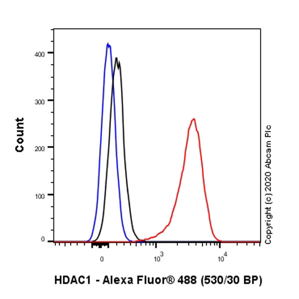 Flow Cytometry (Intracellular) - Anti-HDAC1 antibody [RM1004] - Nuclear Loading Control (ab281585), expandable thumbnail