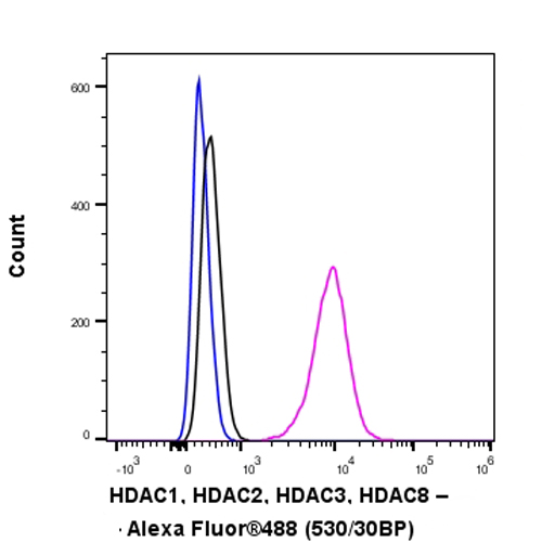Flow Cytometry (Intracellular) - Anti-HDAC1 + HDAC2 + HDAC3 + HDAC8 antibody [RM1172] - BSA and Azide free (AB319060), expandable thumbnail
