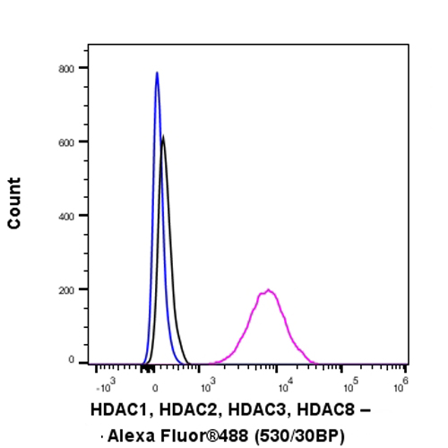 Flow Cytometry (Intracellular) - Anti-HDAC1 + HDAC2 + HDAC3 + HDAC8 antibody [RM1172] - BSA and Azide free (AB319060), expandable thumbnail