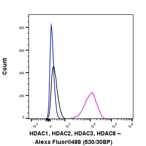 Flow Cytometry (Intracellular) - Anti-HDAC1 + HDAC2 + HDAC3 + HDAC8 antibody [RM1172] - BSA and Azide free (AB319060), expandable thumbnail