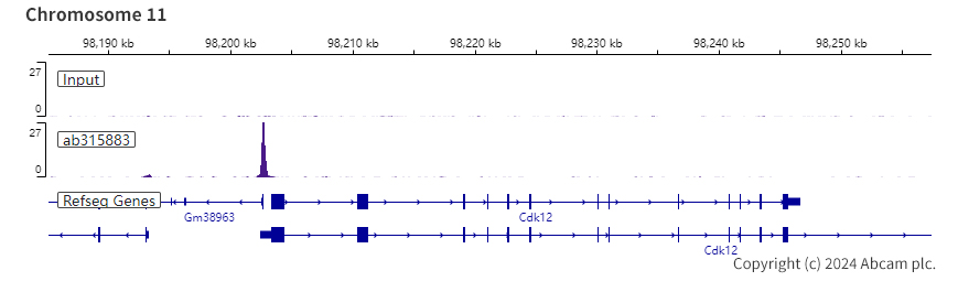 ChIP-sequencing - Anti-HDAC11/HD11 antibody [EPR26890-83] (AB315883), expandable thumbnail
