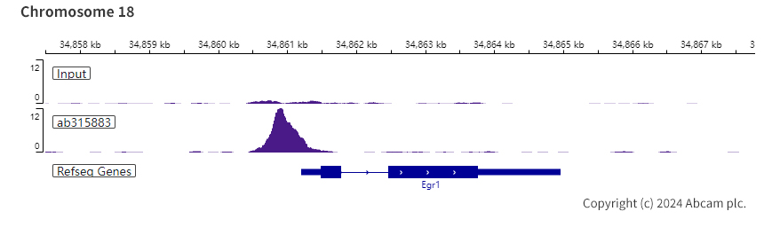 ChIP-sequencing - Anti-HDAC11/HD11 antibody [EPR26890-83] - BSA and Azide free (AB315884), expandable thumbnail