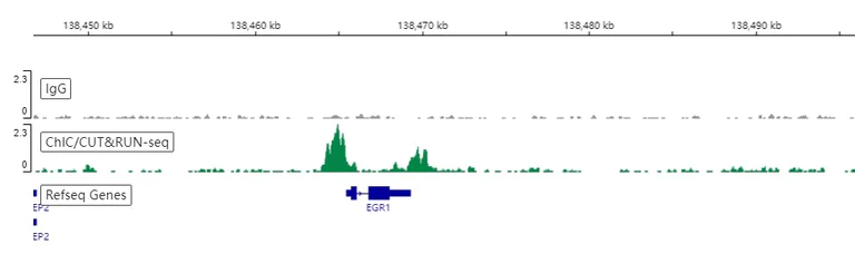 ChIC/CUT&RUN sequencing - Anti-HDAC2 antibody [EPR20117] - BSA and Azide free (AB251561)