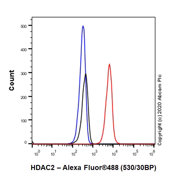 Flow Cytometry (Intracellular) - Anti-HDAC2 antibody [Y461] - BSA and Azide free (AB213700)