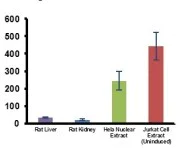 Functional Studies - HDAC6 Activity Assay Kit (Fluorometric) (AB284549)
