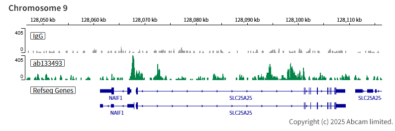 ChIC/CUT&RUN sequencing - Anti-HDAC6 antibody [EPR1698(2)] (ab133493), expandable thumbnail