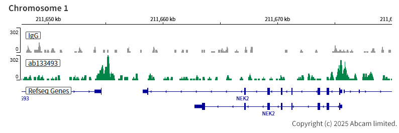 ChIC/CUT&RUN sequencing - Anti-HDAC6 antibody [EPR1698(2)] - BSA and Azide free (ab210472), expandable thumbnail