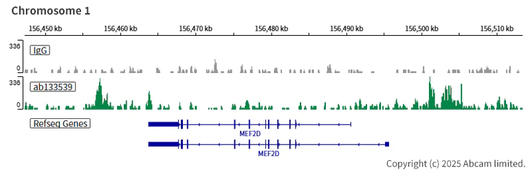 ChIC/CUT&RUN sequencing - Anti-HDAC6 antibody [EPR6160] (AB133539)