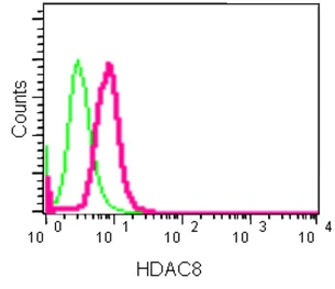 Flow Cytometry (Intracellular) - Anti-HDAC8 antibody [EPR10338(2)] (AB187139)