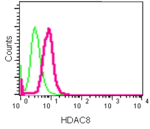 Flow Cytometry (Intracellular) - Anti-HDAC8 antibody [EPR10338(2)] - BSA and Azide free (AB232643)
