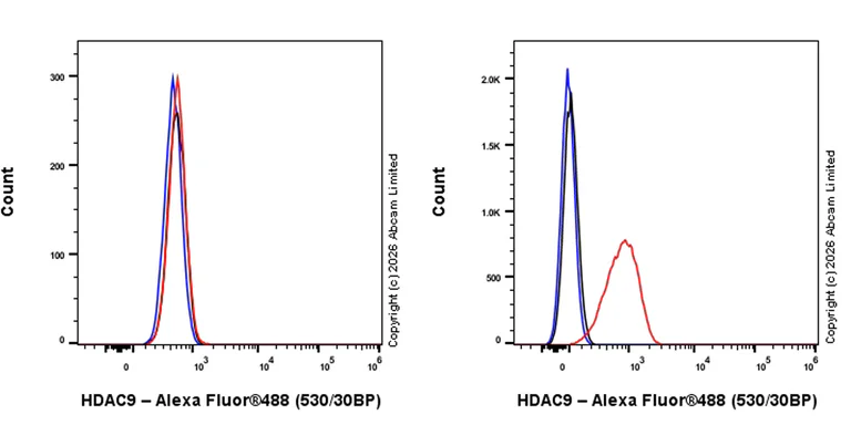 Flow Cytometry - Anti-HDAC9 antibody [EPR30363-35] - BSA and Azide free (AB326730)