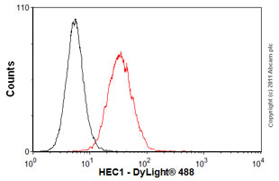 Anti-HEC1/HEC antibody [9G3]