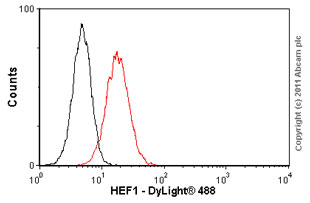 Anti-HEF1/NEDD-9 antibody [2G9]
