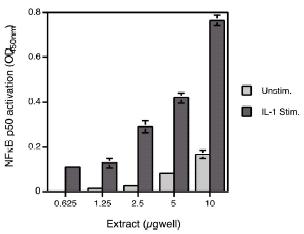 Functional Studies - HeLa whole cell lysate (IL1 alpha stimulated) (AB14656), expandable thumbnail