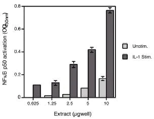Functional Studies - HeLa whole cell lysate (IL1 alpha stimulated) (AB14656)