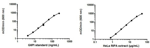 ELISA - HeLa Whole Cell RIPA Extract (AB170197), expandable thumbnail