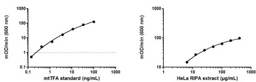 ELISA - HeLa Whole Cell RIPA Extract (AB170197), expandable thumbnail