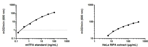 ELISA - HeLa Whole Cell RIPA Extract (AB170197)