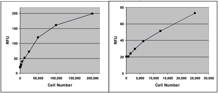 Functional Studies - Hematopoietic Colony Forming Cell Assay Kit (AB242288), expandable thumbnail