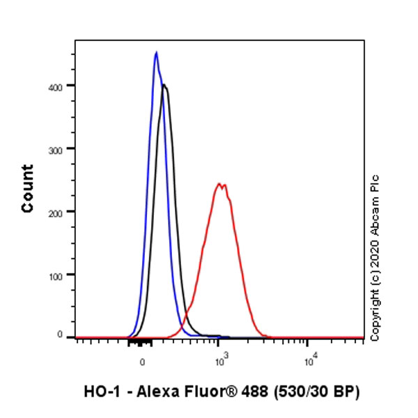 Flow Cytometry (Intracellular) - Anti-Heme Oxygenase 1 antibody [EP1391Y] (ab52947), expandable thumbnail